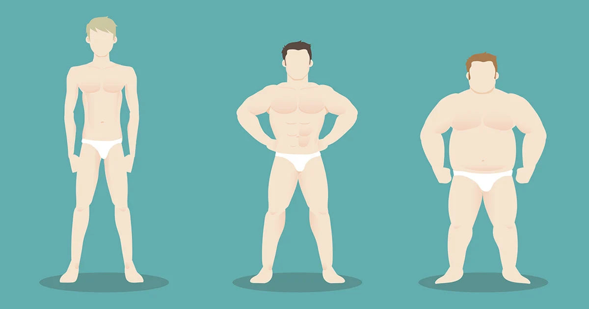 Your Body Type - Ectomorph, Mesomorph or Endomorph?