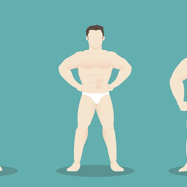 Your Body Type - Ectomorph, Mesomorph or Endomorph?
